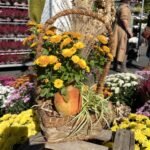 31. Odenwälder Bauernmarkt verbucht beste Resonanz seit Bestehen