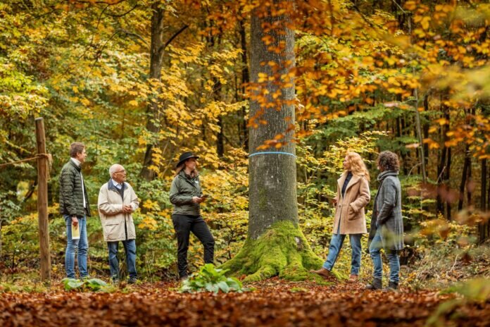 Herbstliche Waldführung im FriedWald