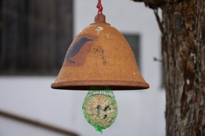 bird-food-g5d4b1f3f6_1920