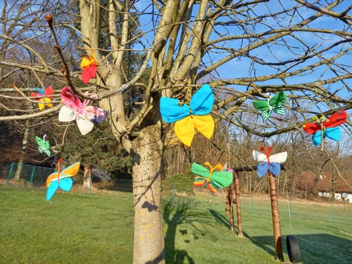 Schmetterlinge für Michelstadt