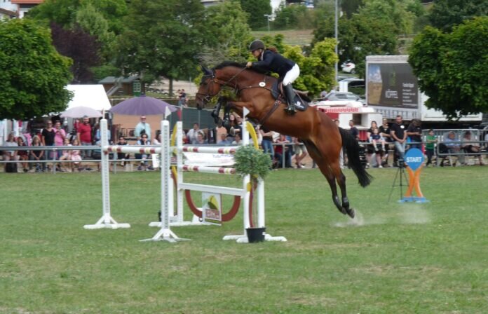 1 Turniersport auf Topniveau in Beerfelden