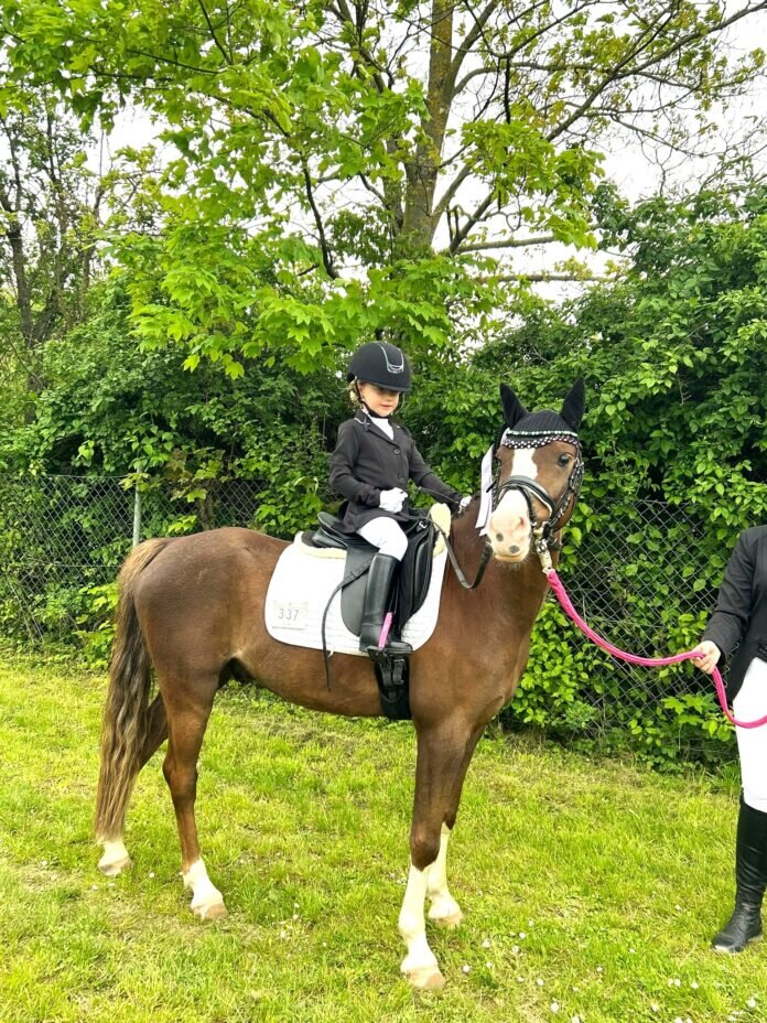 Lina Sophie Zimmermann auf B. Calipso war auf Anhieb erfolgreich