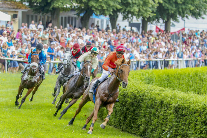 wiesenmarkt2019-renntag