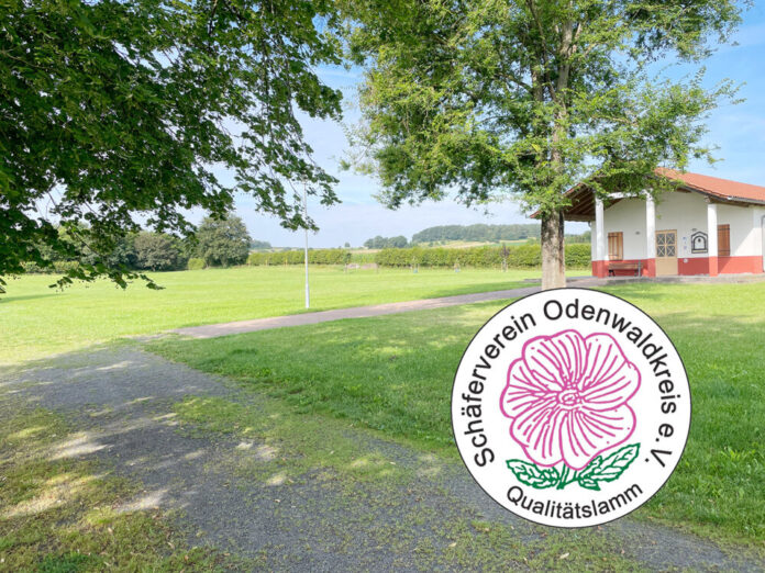 PM Haselburg_mitLogo