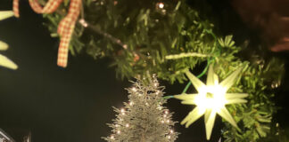 Genuss für Auge und Gaumen auf dem Beerfurther Lebkuchenmarkt