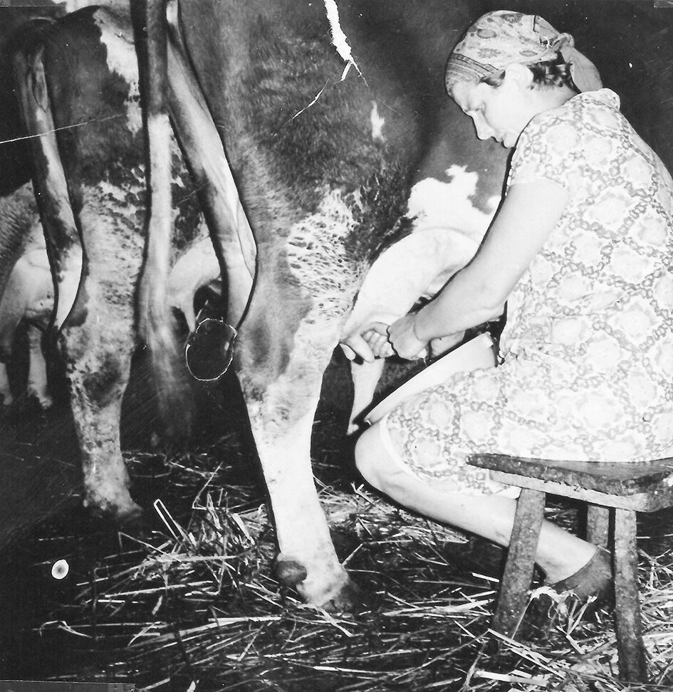 Landwirtschaft früher und heute - Vortrag zog Besucher an - Odenwälder ...