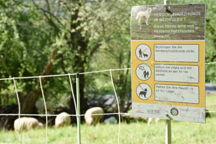 Hinweistafel Herdenschutzhunde