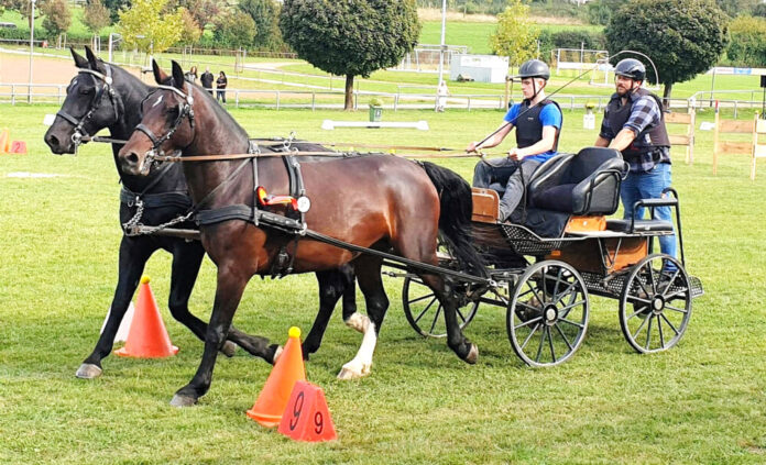 1 Hindernisfahrt auf Beerfeldens gruenem Rasen
