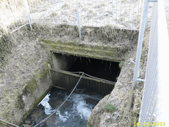 K 50_Verdolung Rehbach