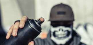 Stadt Erbach verurteilt Vandalismusserie und Tierquälerei