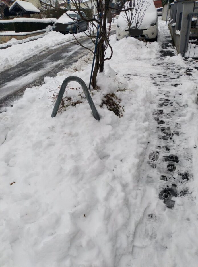 IMG_20260126_145131MP