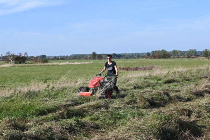 LandschaftAnpacken_Balkenmäher