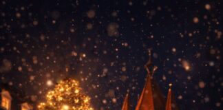 Fotowettbewerb: Die besten Michelstadt-Momente