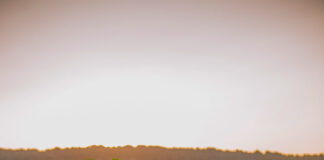 Unfallflucht am Parkplatz des Michelstädter Hallenbads