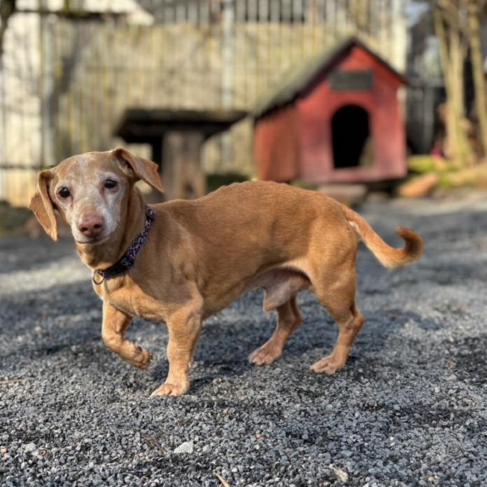 04e618d3-849c-44f5-9064-f6b1ea49be24