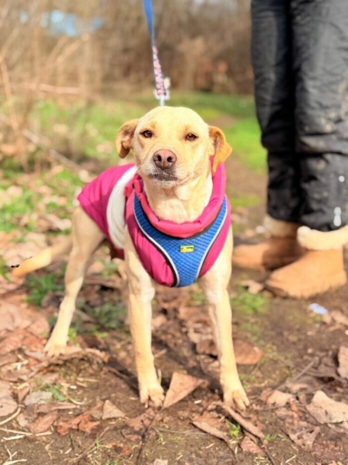 47207600-39d6-4185-8d3f-7c0925c2cad0