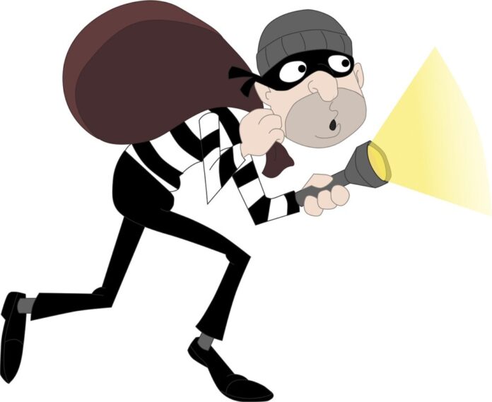 katigori-burglar-4925202_1280