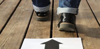 Politik live erleben