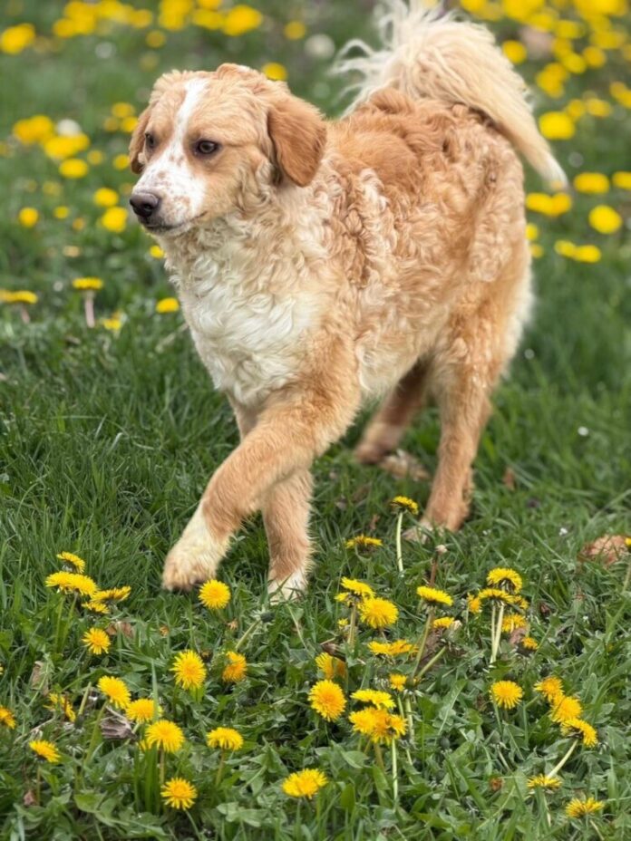 49f9ec82-4ffb-4014-8d7b-5847558cf72e