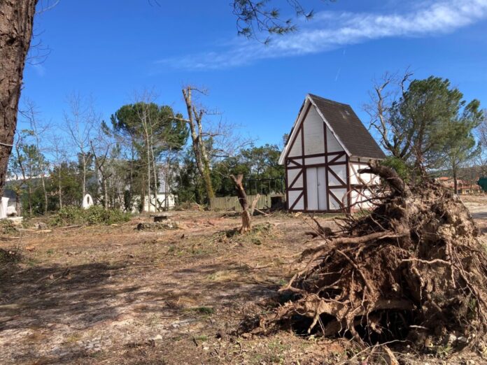 Erbacher Häuschen in Erbach