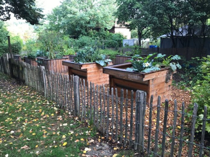 Hochbeet-Garten