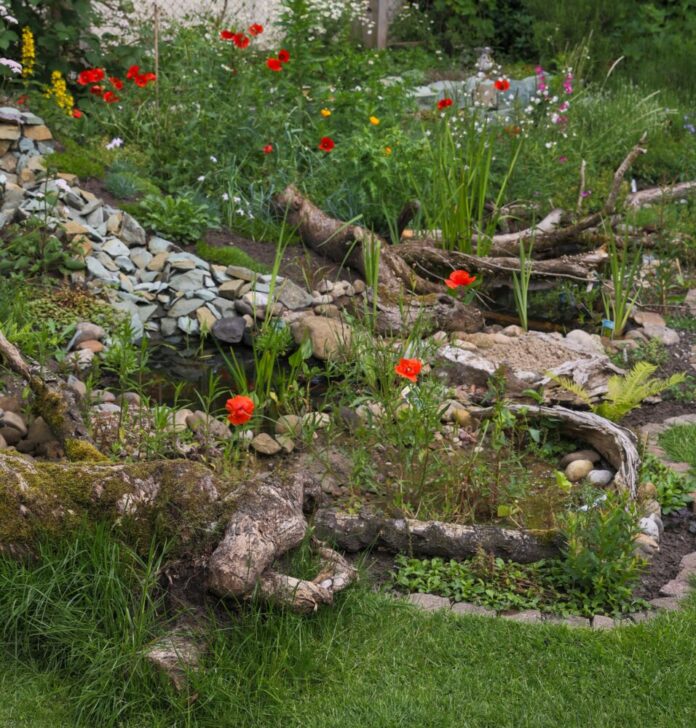 Volker Gehrmann_NABU