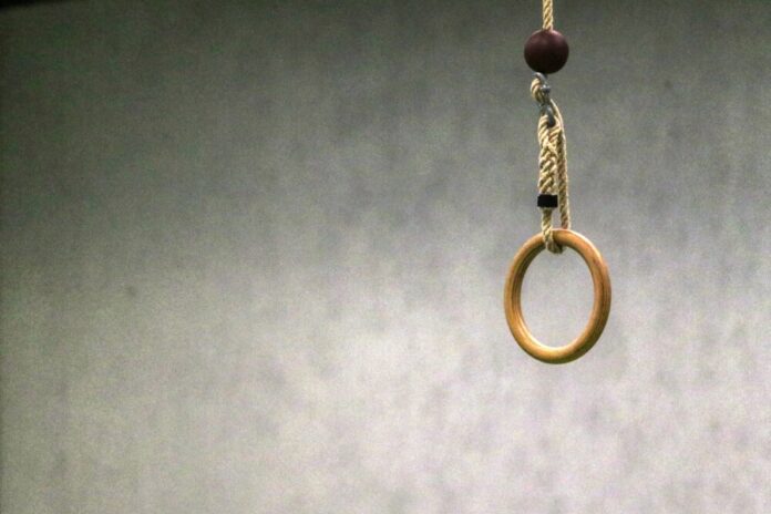 planet_fox-ring-4760444