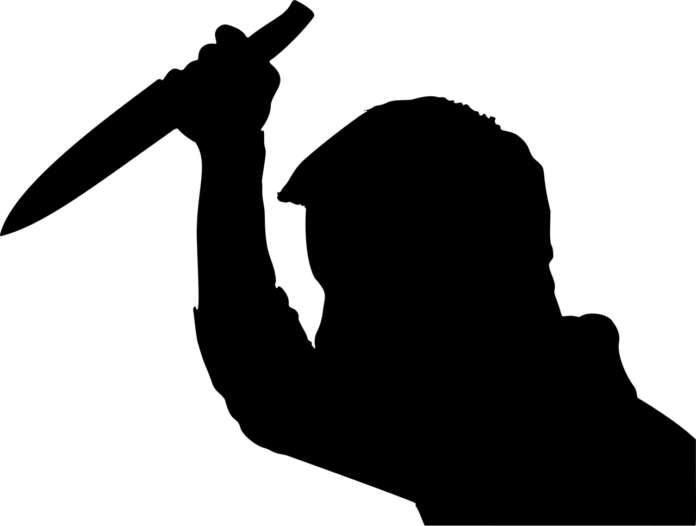 psycho-2952528_1280