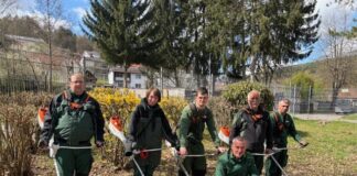 Neue Power für die AWO