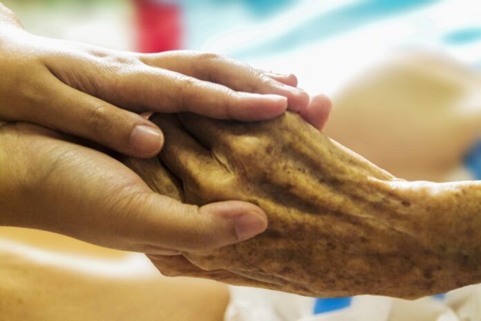 truthseeker08-hospice-1793998