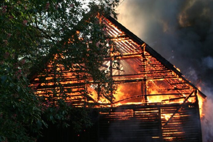 beeki-fire-22480
