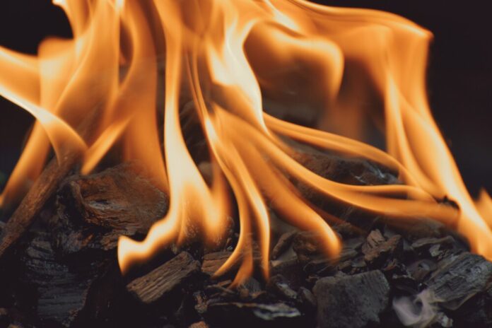 alexas_fotos-fire-7332958