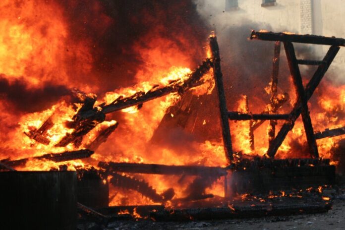 beeki-fire-22482
