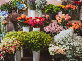 Einbrecher rauben Blumengeschäft aus