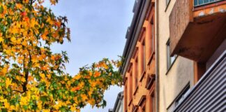 Gastkommentar zu unseren Innenstädten