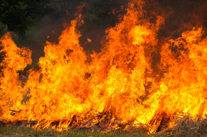 stubble-burning
