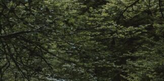 Wasserentnahme aus Gewässern wegen anhaltender Trockenheit verboten