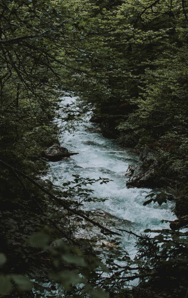 Vertical shot of a beautiful river with a strong current and greenery around