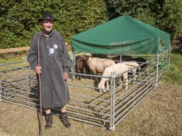 Odenwälder Schäfertag lockt ins Gersprenztal