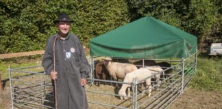 Odenwälder Schäfertag lockt ins Gersprenztal