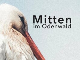„Mitten im Odenwald“ – Fotografien von Brigitte Renate Götz im Stadtmuseum Michelstadt