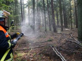 Waldbrandgefahr steigt