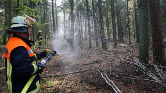 Übung Waldbrandbekämpfung
