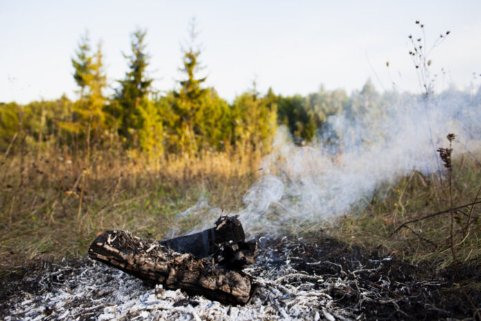 Waldbrand