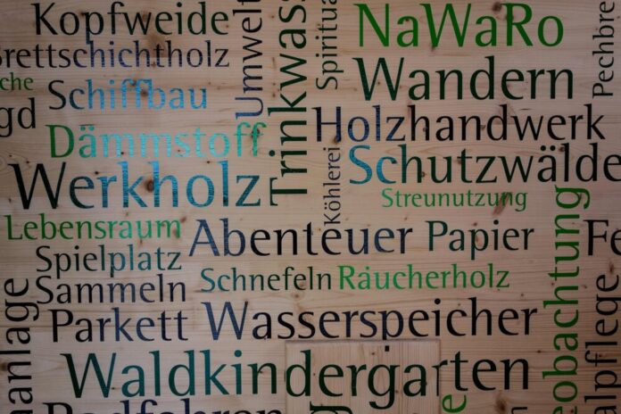 Waldkindergarten