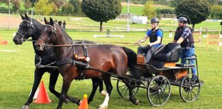 Zwei Reitturniere in der Oberzent