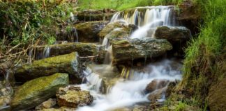 Veranstaltungstipp: Erbachs Wasser neu entdecken
