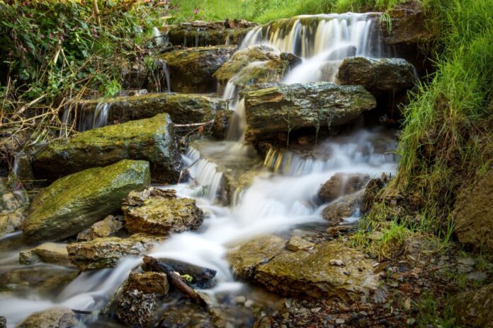 Lebendiges Wasser in Erbach erleben