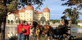 Odenwälder Pferde-Hammer in Moritzburg