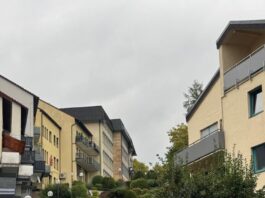 Erbach soll grüner werden